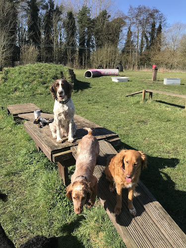 Secure Dog Walking Park, Kings Lyn in Norfolk