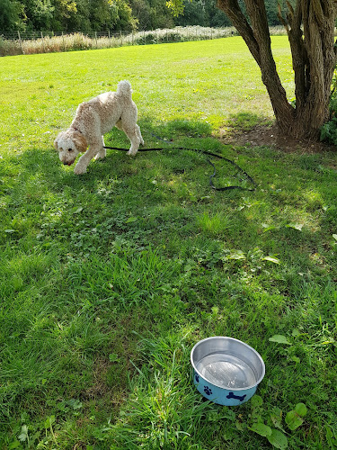 SecurePaws Derby in Derby