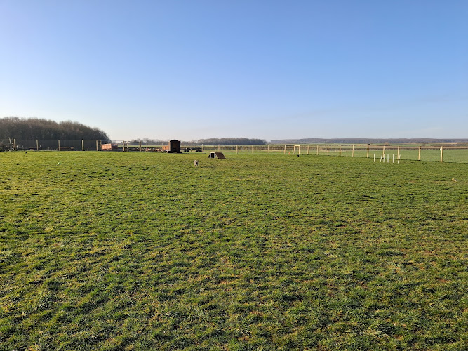 Shireoaks Secure Dog Field in Sheffield