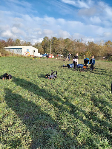Skipadoos Secure Dog Field, Bolton in Bolton