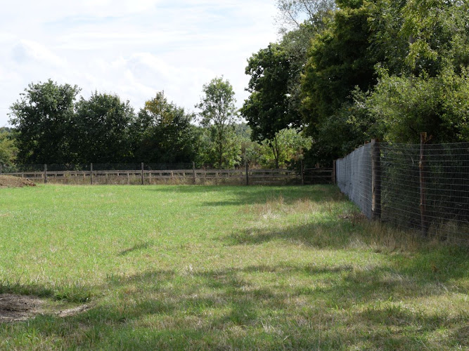 Slamsey’s Dog Field, Braintree in Essex