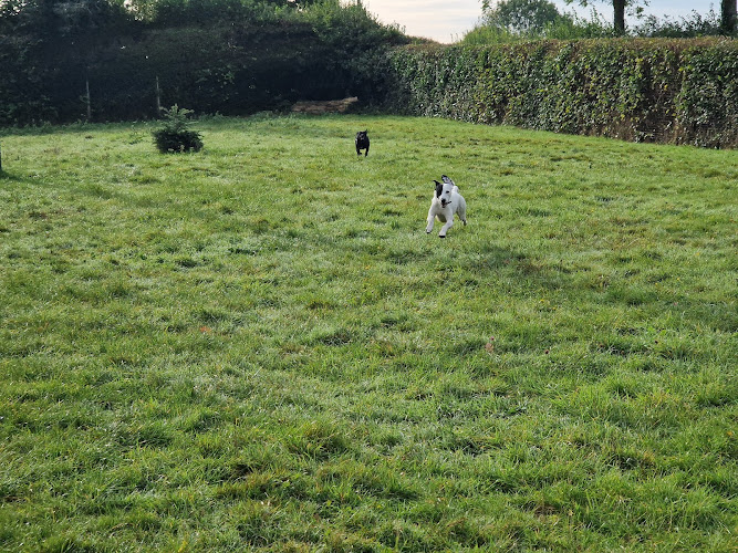 Snoopy’s Dog Park, Oxenhall in Gloucestershire