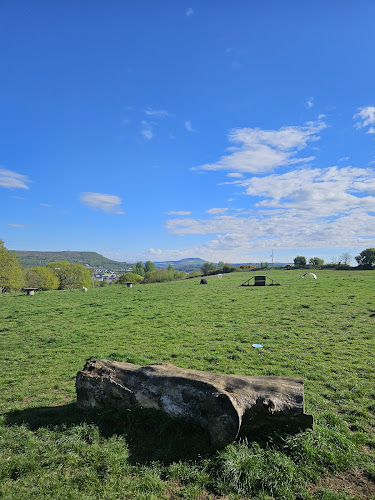 Softpaws adventure park in Neath