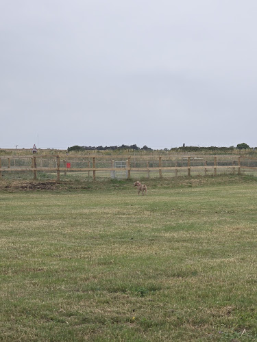 Soham Dog Park, Ely in Cambridgeshire