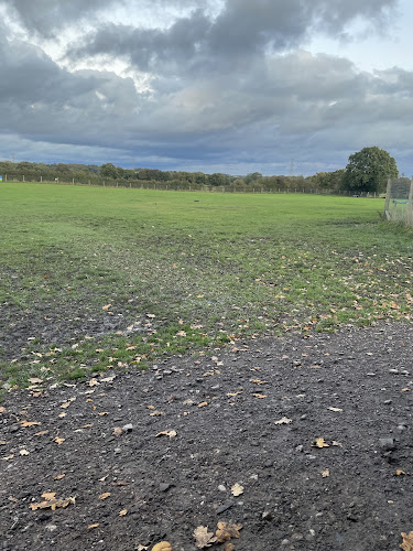 South Cannock Farm Dog Field, Great Wryley in Staffordshire