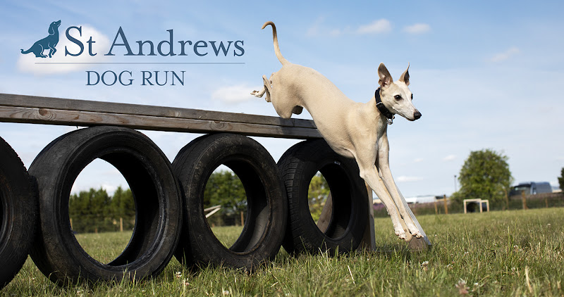 St Andrews Dog Run, Brownhills in Fife