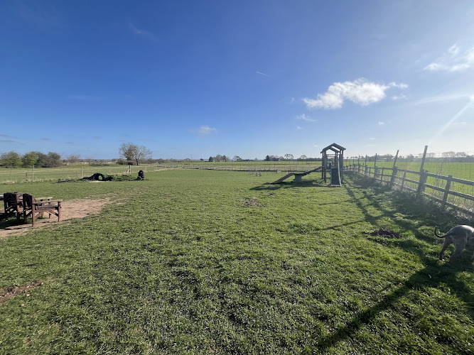 Stone House Farm Freedom Dog Field, Lincoln in Lincoln