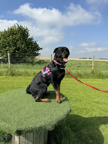 Summerhouse Dog Field, Royston in Cambridgeshire