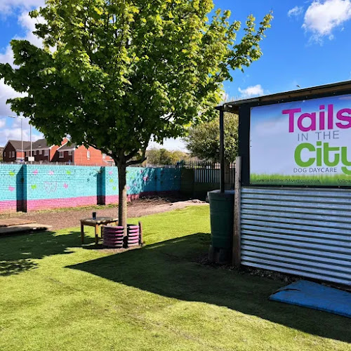 Tails In The City in Liverpool