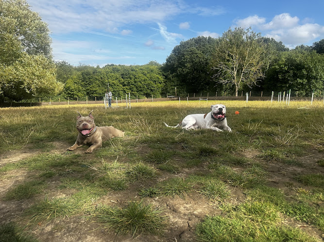 the Acres, Swanley Park in London