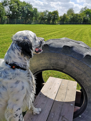 The Adventure Bark Dog Park, Bishop’s Stortford in Thorley