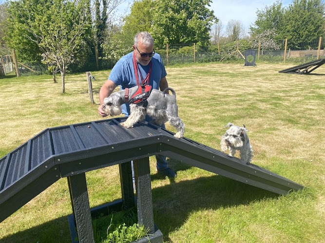 The Apuldram Dog Field in Chichester