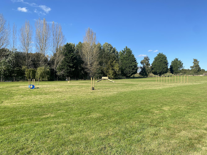 The Dog Field Company, Sutton Green in Aldershot