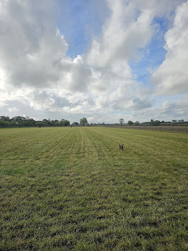 The Dog Park Co in Lincoln