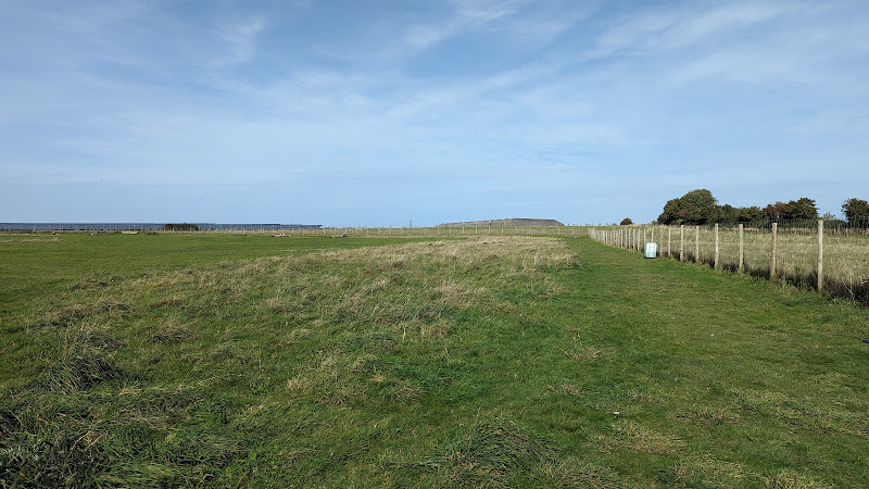 The Dog Space (Dog Field), Swindon in Swindon