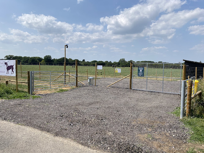 The Dog Walking Field, Colchester in Colchester