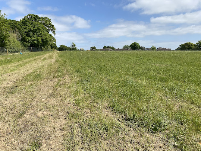 The Dog Walking Field, Harwich/Great Oakley in Harwich
