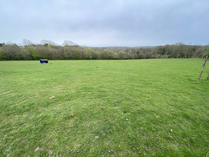 The Dog Walking Field - Pembury in Tunbridge Wells
