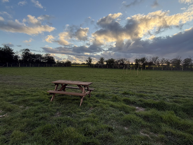 The Dog Walking Field - Sutton Coldfield/ Tamworth in Tamworth