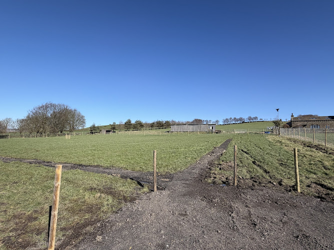 The Dog Walking Field - Wilsden/Bradford in Bradford