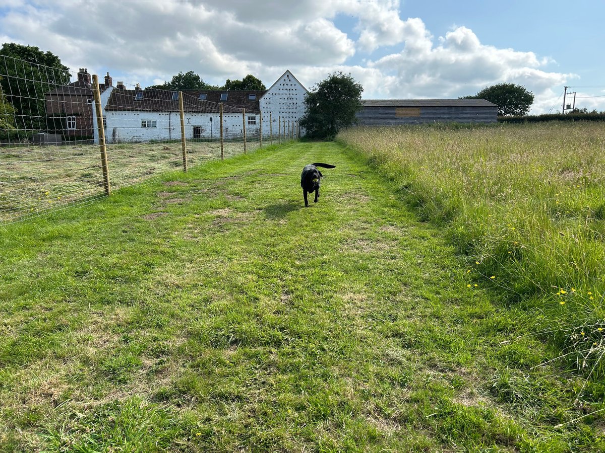 The Dog’s Frolics, Cressage in Shrewsbury