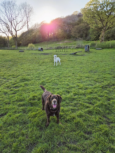 The Dogs Paddocks Dog Field, Romiley in Stockport