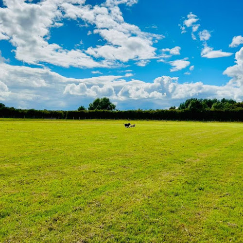 The Dogs Paddocks Haslington in Crewe