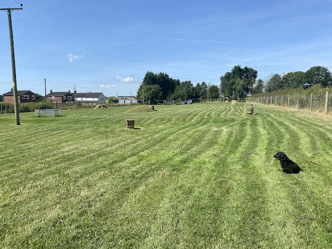 The Field at Field, Dog Fields, Uttoxeter in Staffordshire