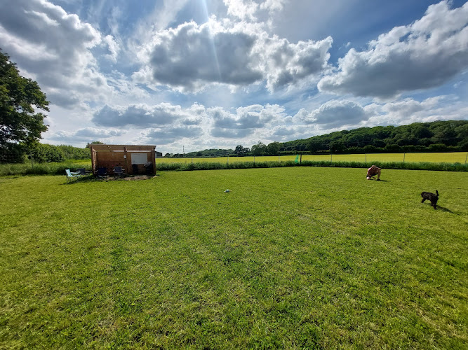 The Kingdom of Dog Secure Dog Field, Wootton under Edge in South Gloucestershire