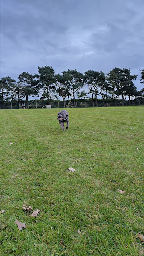 The Pawsome Park, Frodsham in Wigan