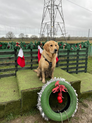The Potterings, Dog Field, Stoke Mandeville in Buckinghamshire