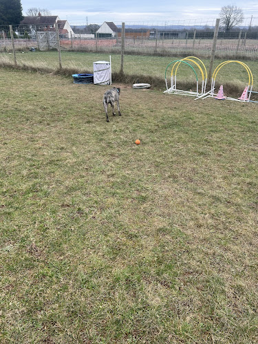 The Rural Dog Park, Middleton in Birmingham