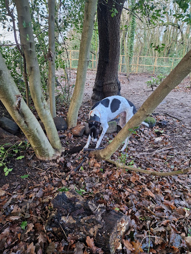 The Secret Garden Dog Park, Calverley in Leeds