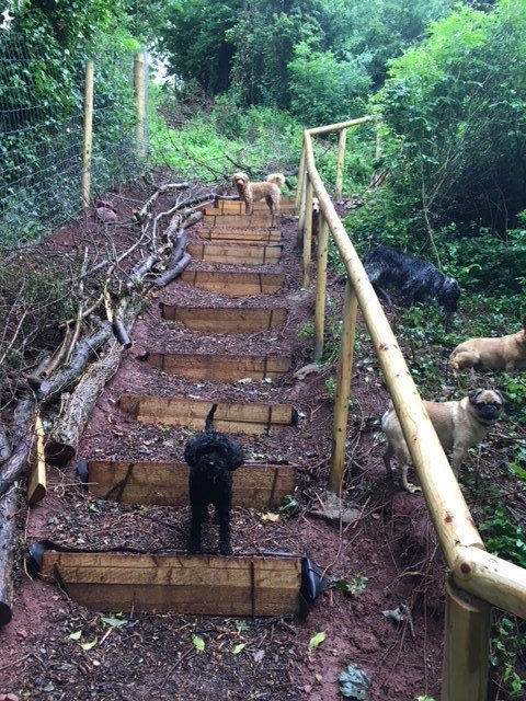 The Fairy Dog Mother Field, Torquay in South West