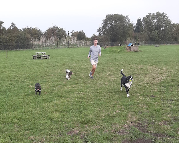 Thorney Dog Park Secure Dog Field, Thorney in Peterborough