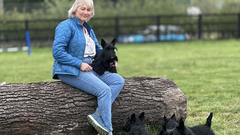 Top Dog Field, Hilderstone in Staffordshire