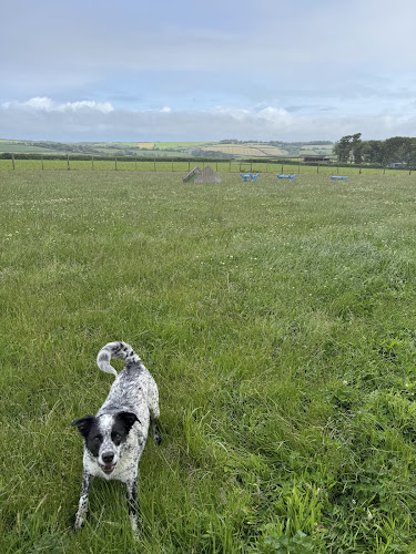Trixie Paws Secure Paddock in Devon