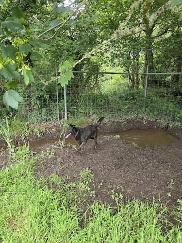 Ultimutt Freedom Dog Park, St Erth in Penzance