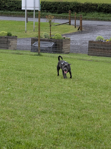 Unleash the Dogs Secure Dog Parks - Hill View Field, Hillington in Renfrewshire