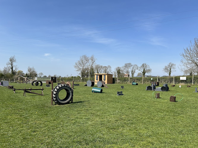 Unleashed Dog Adventure Park Lurgan in Armagh City, Banbridge and Craigavon