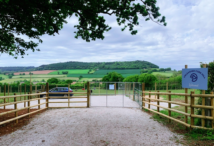 Unleashed Dog Field, Core Hill in Devon