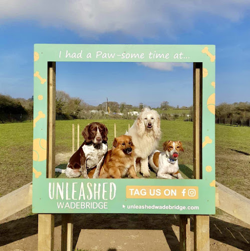 Unleashed, Dog Field, Wadebridge in South West