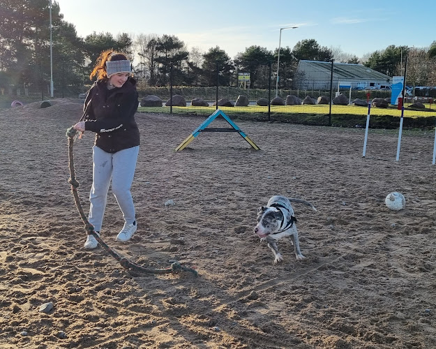 Unleashed Dog Park, Nairn in Highland