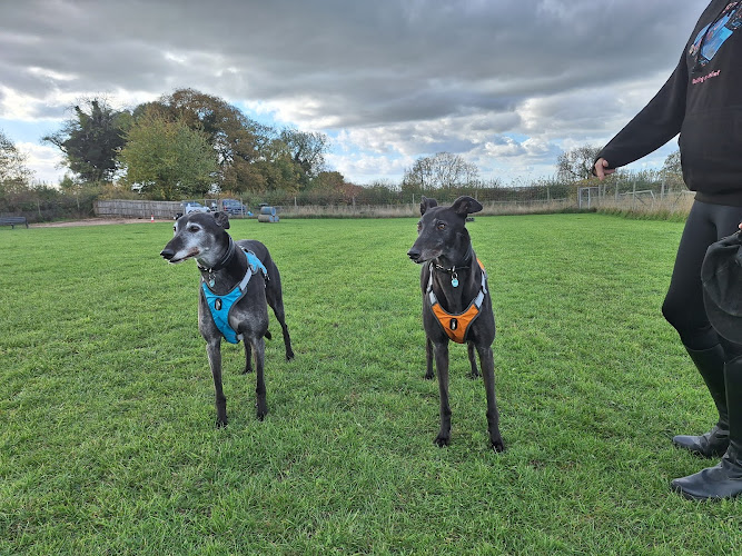 Vale K9, Dog Field, Crick in West Northamptonshire
