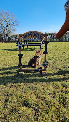 Wagdale Dog Field, Norwich in Norfolk