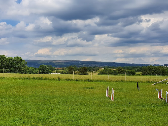 WaggyTailsWigan Dog Field, Wigan in Wigan