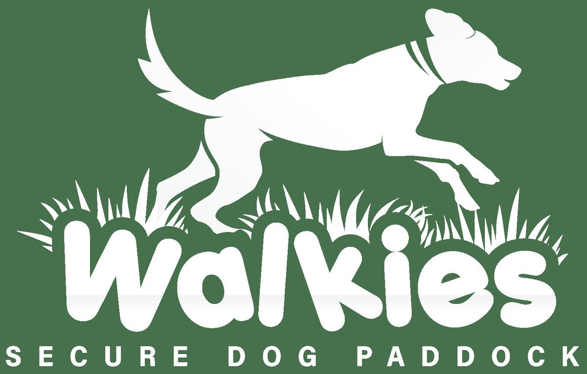 Walkies Secure Dog Paddock in Bath