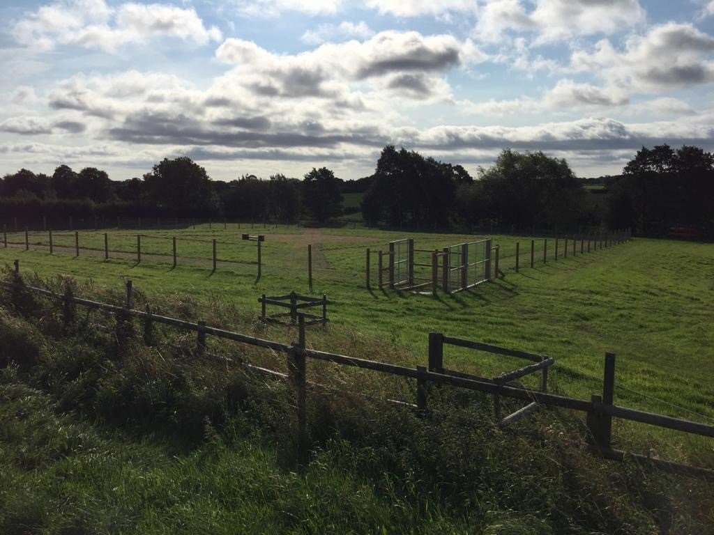 Weaver Pet Care, Dog Field, Nantwich in Cheshire East