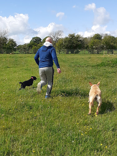 Welly and Tails, Dog Field, Penrith in Westmorland and Furness