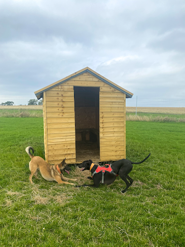 West Oxford Dog Secure Fields (The Paddock) in Oxfordshire